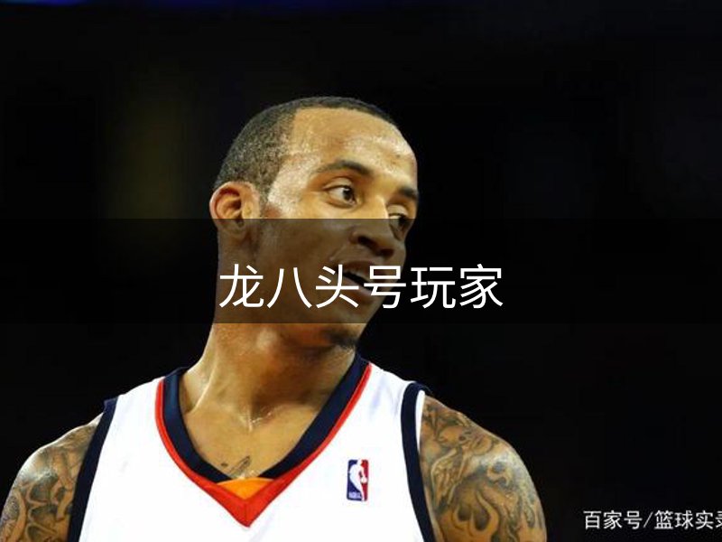 网站概况